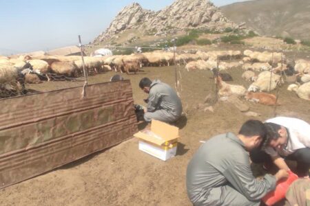 شناسایی و مهار خطر تب برفکی در ییلاقات اردبیل / بیمارستان تخصصی دامپزشکی اصلاندوز تا ۱۵ روز آینده افتتاح می‌شود