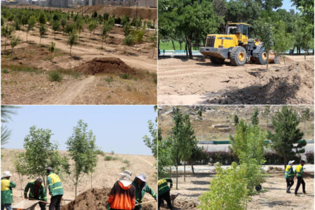 افزایش ۵ هکتاری فضای سبز شورابیل با احداث ۳ بوستان جدید